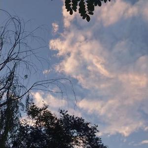 啊啊啊骚护士视频
